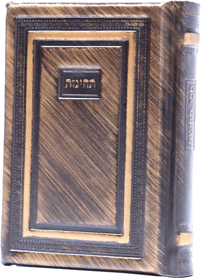 תחינות-דגם 15