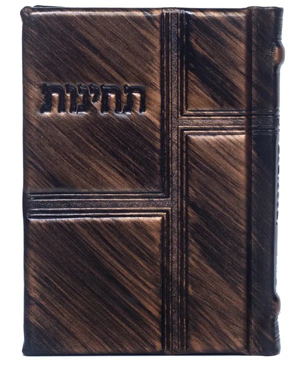 תחינות-דגם 55