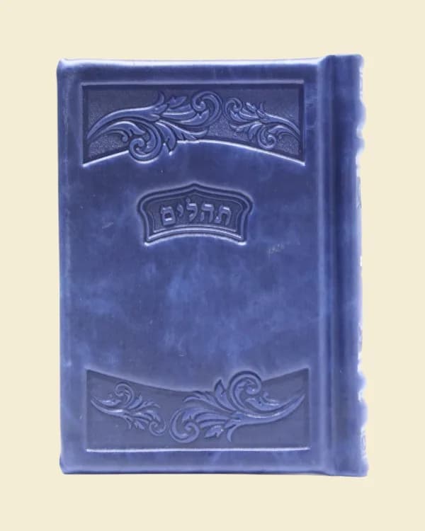תהילים דגם 30