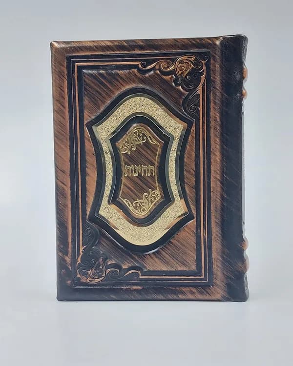 תחינות-דגם 200